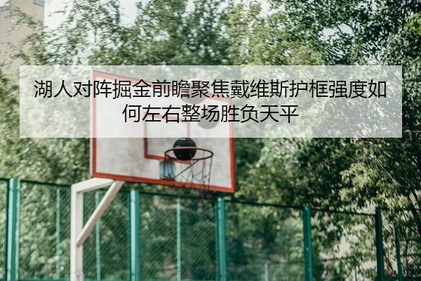 湖人对阵掘金前瞻聚焦戴维斯护框强度如何左右整场胜负天平